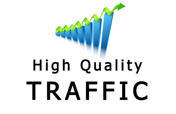 will send 1000 daily website traffic for one month. For for $125 ...