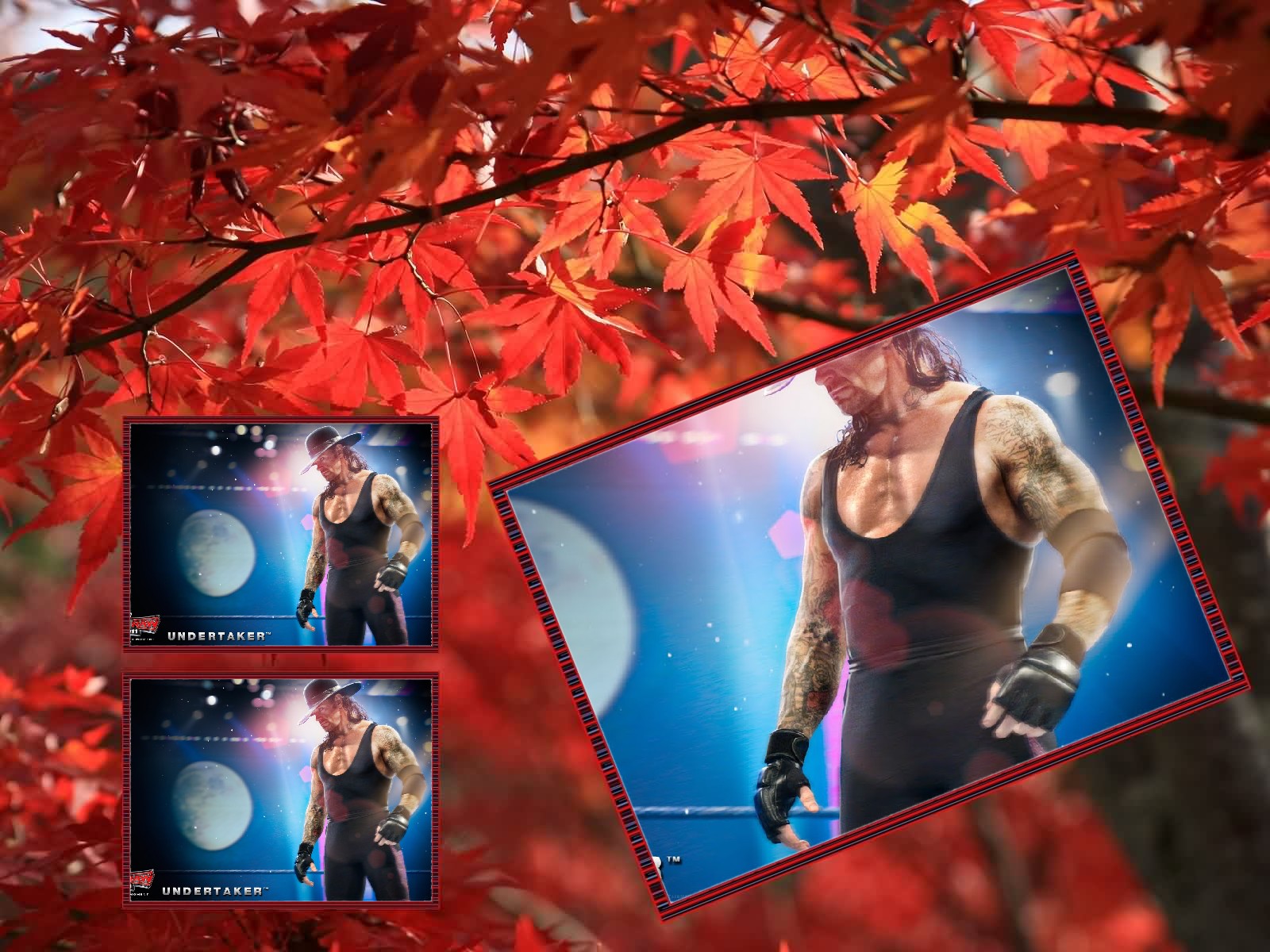 I will make 70 billboard of your a logo,image