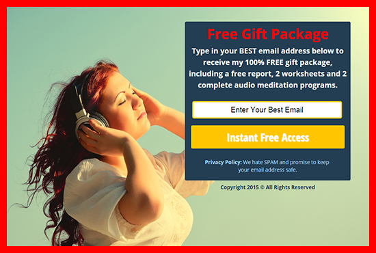 i will design a profissional landing page or squeeze ...