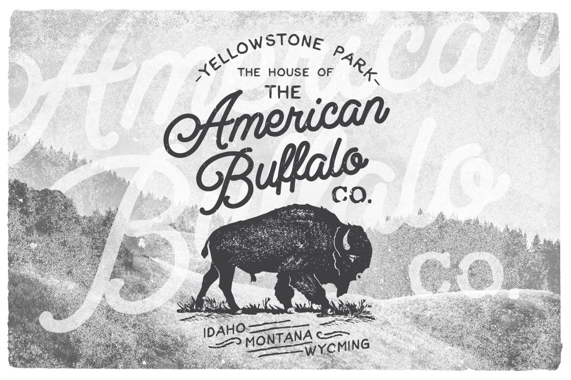 deliver more than 1000 Logo & Badge Type Vintage T-Shirt Templates