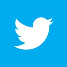provide you 1000 real targeted twitter followers 