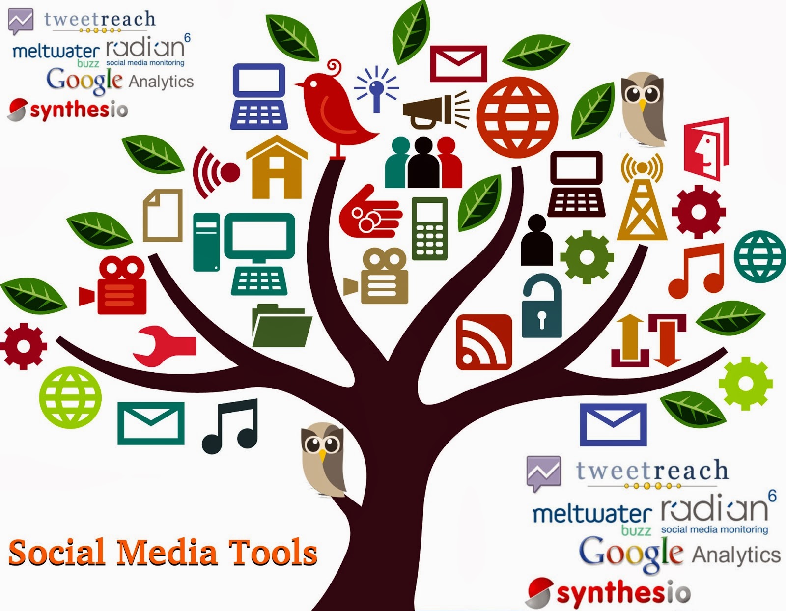 provide you 600 social signal from pr 10 to pr9