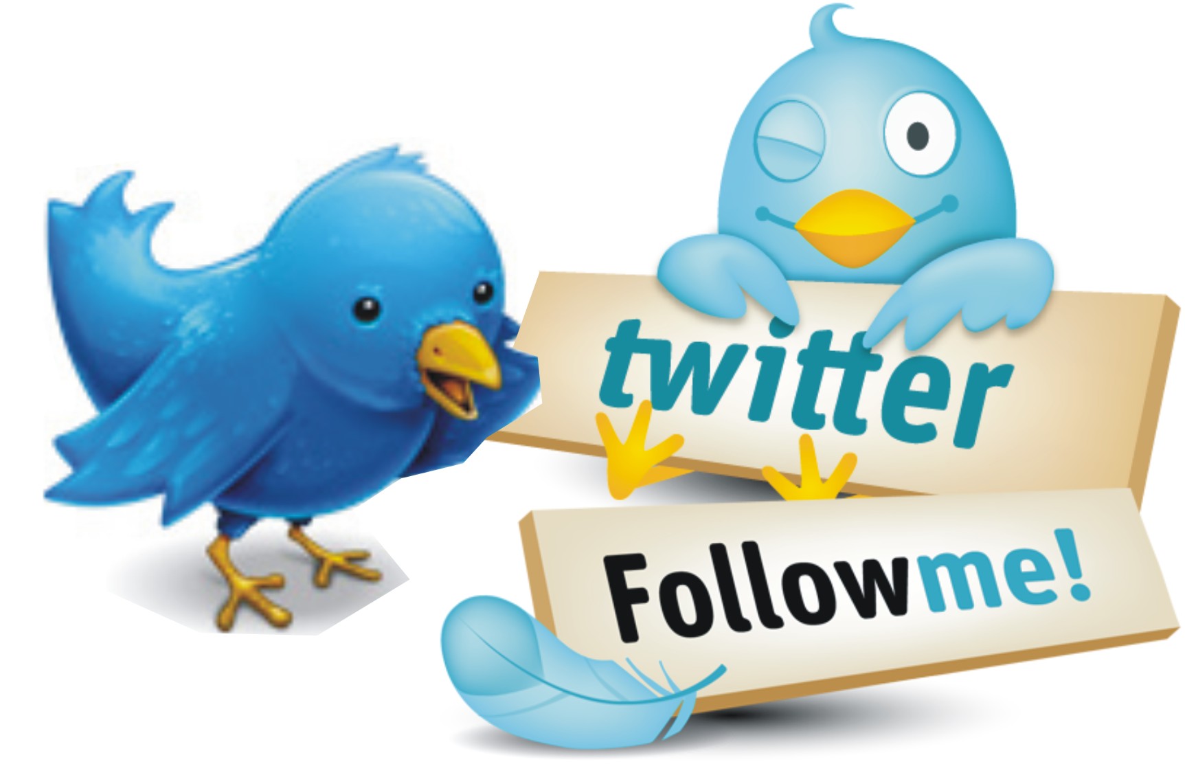 i will give 20,000+ twitter followers with in 36 hours