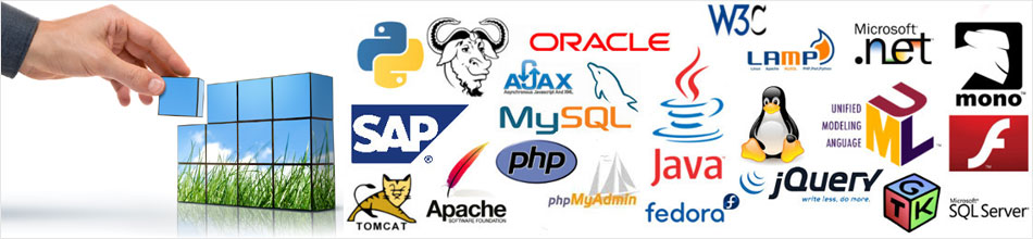 Professional Website Designing Services By Designing ...