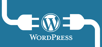 I will install a wordpress theme and setup like demo ...