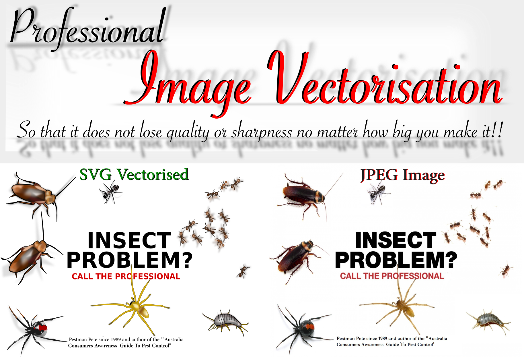 I will Professionally Vectorise your Complex Image