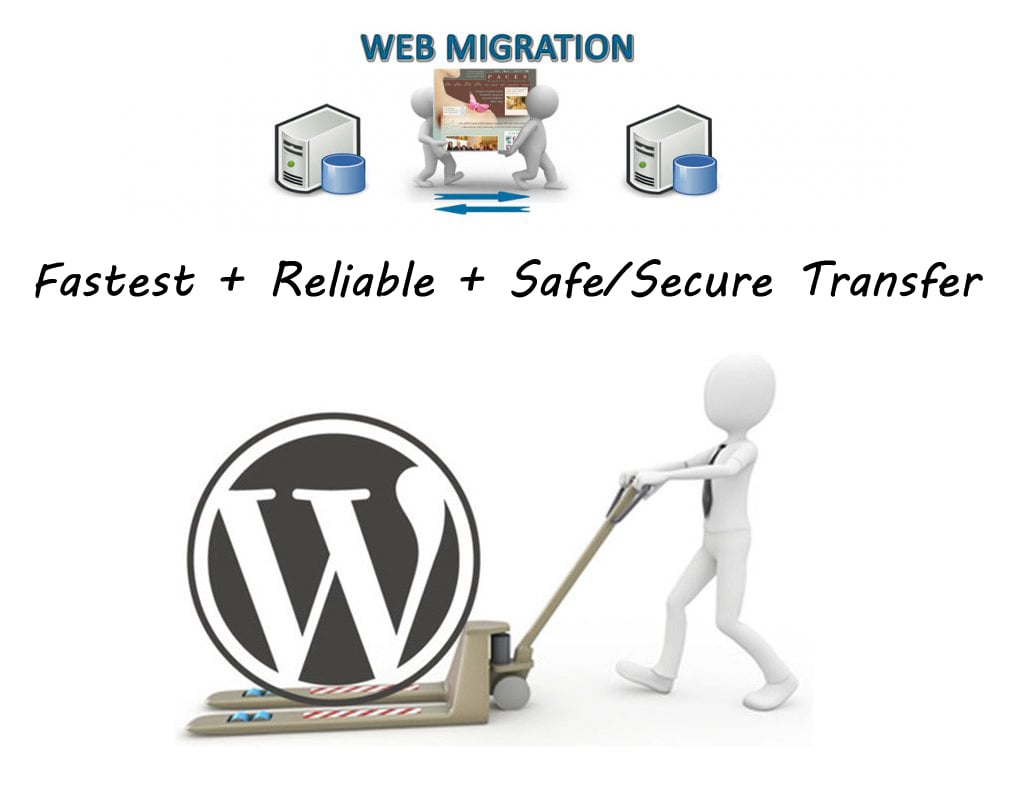 I will migrate Wordpress Website