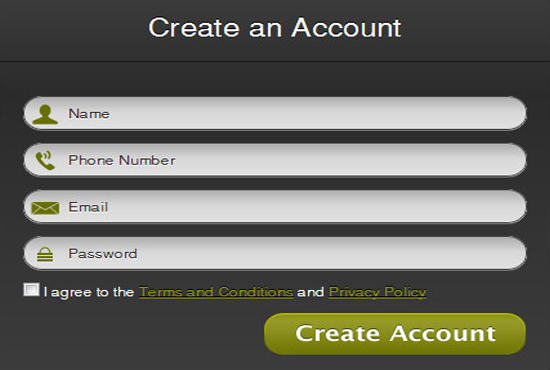 i will make web forms in HTML and CSS