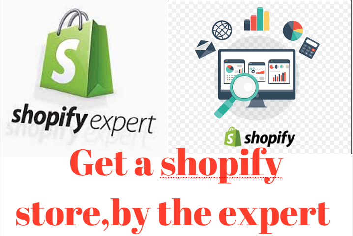 $100 Daily with Shopify Store Guaranteed 