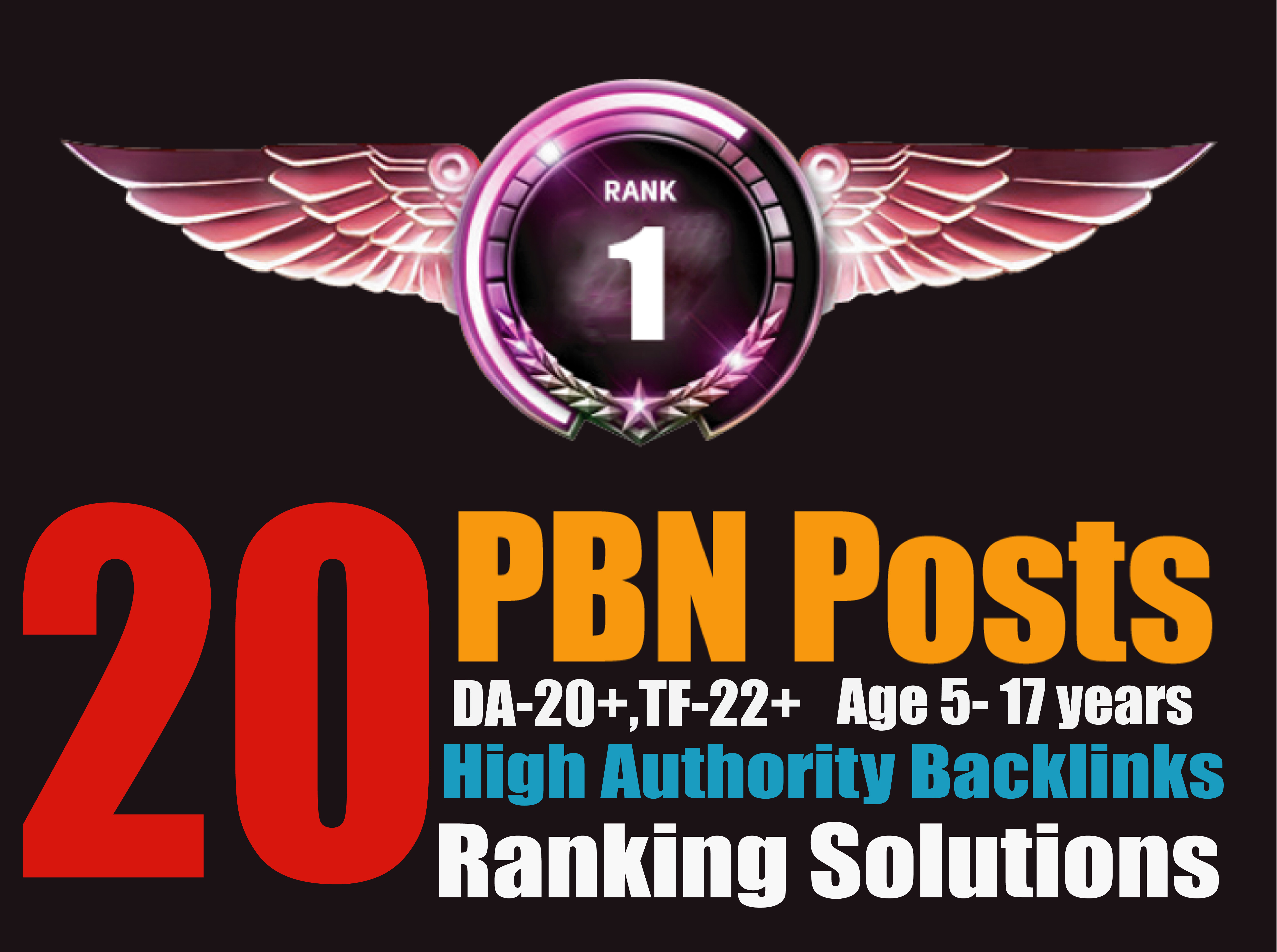 Ranking Solutions - 20 PBN Posts [DA26+TF26+]