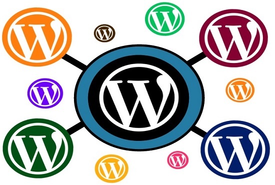 install any WordPress Theme Like Demo