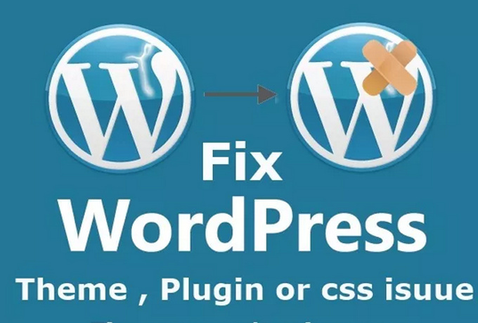 Fix Your WordPress Issues or WordPress Errors