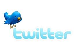add 3300 twitter followers in your profile to increase your twitter followers count without needing your twittters password before time ends