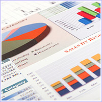 make a SEO report of your site