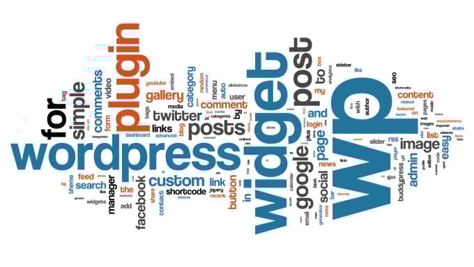 will make a professional looking wordpress blog for you