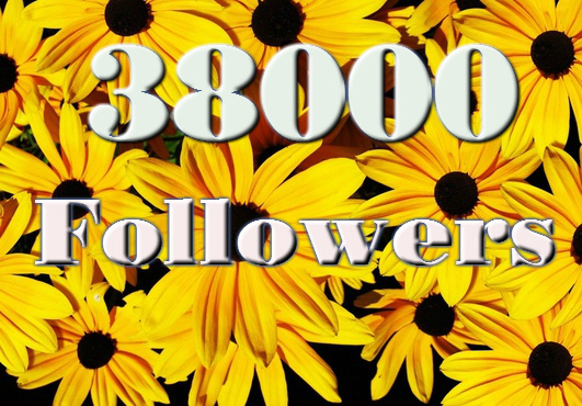 really get you 27500+ TopQuality Real looking TWITTER followers    ...!!!