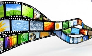 insert 50 new movies into your website with custom su...