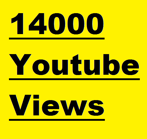 Provide 14000 to 15000 Youtube Views
