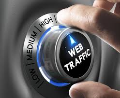 8000 REAL HUMAN TRAFFIC REACH YOUR WEBSITE WITH LOW BOUNCE 
