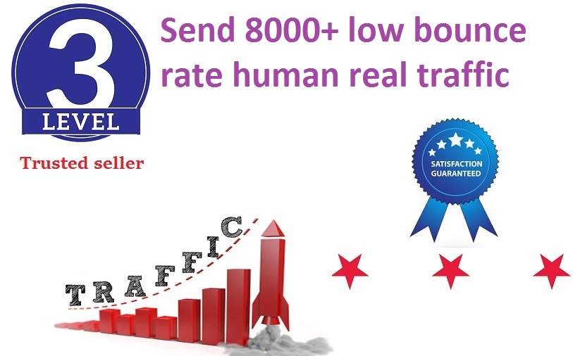 send 8000+ low bounce rate human traffic from google, yahoo etc