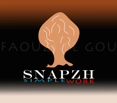 Design i MAGNIFICENT logo in 12 hrs