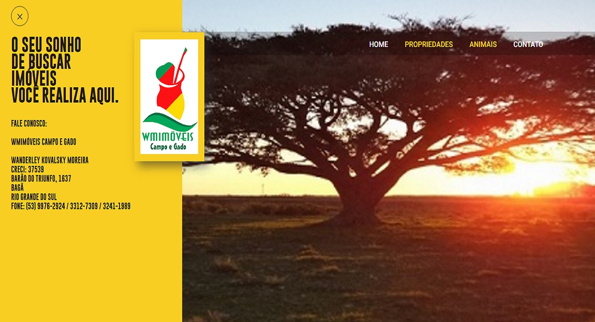 Professional responsive website