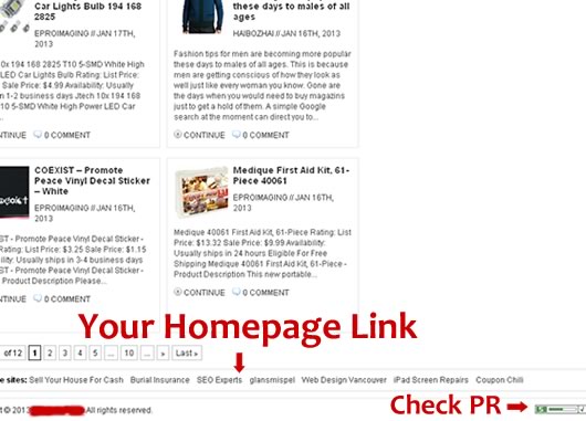 give PR5 Permanent Dofollow Homepage Link on Valid PR5 US English site {Guarantee less than 50 OBLs}
