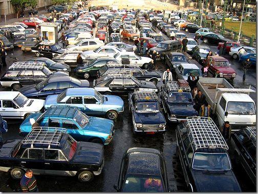 teach how to generate daily traffic to your website quickly   