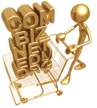 show you an out of the box way of making unending cash buying and selling domain names on the internet