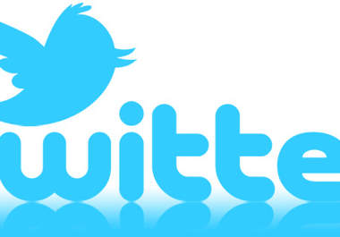 create A Professional Twitter Account With 250+ Real Followers Which You Can Use To Tweet As Many Tweets As You Like for Twiter Marketing