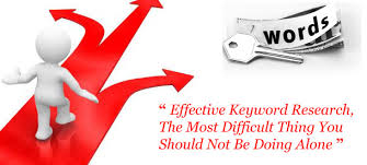 Will research 10 Responsive keywords for you according to your Niche 