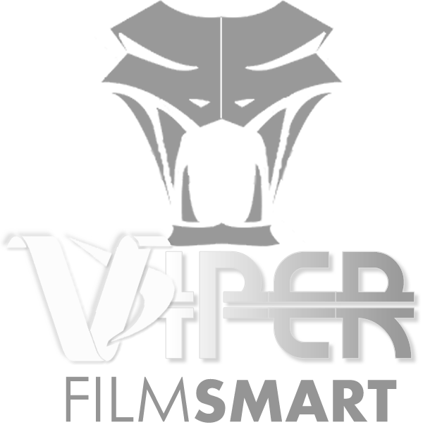 You Need a Video Intro with Logo and FAST that will WOW them.