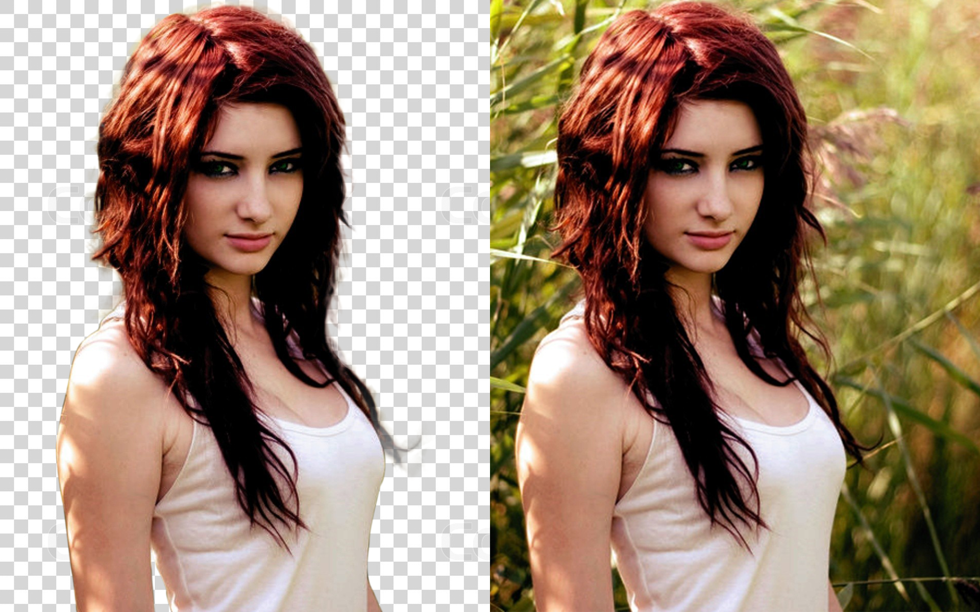 Remove Background of Any 10 Images in 24 Hours for $5 ...