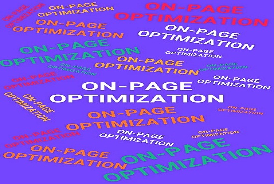 High-quality On-Page SEO Service including all features