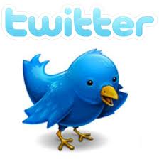 provide 25k twitter followers