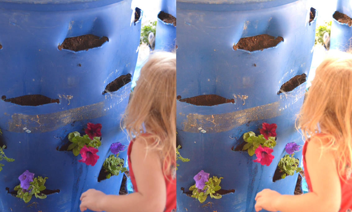 Colorize your video in ONE DAY