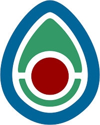 create a beautiful company logo