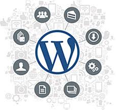 fix Wordpress errors, bugs, problems and customize ...