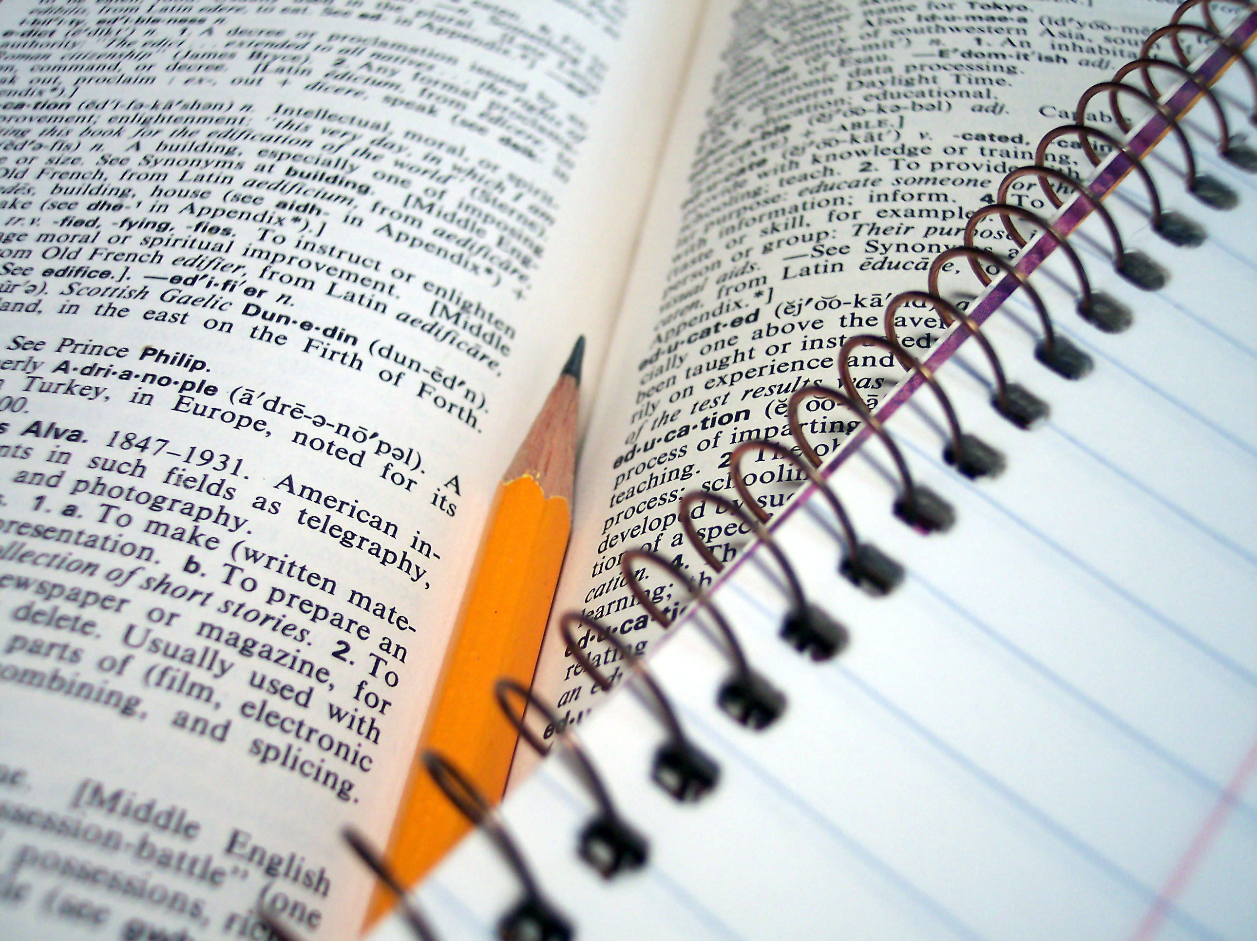 High quality, unique, 500+ word content articles