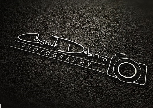Design outstanding signature logo with unlimited revision