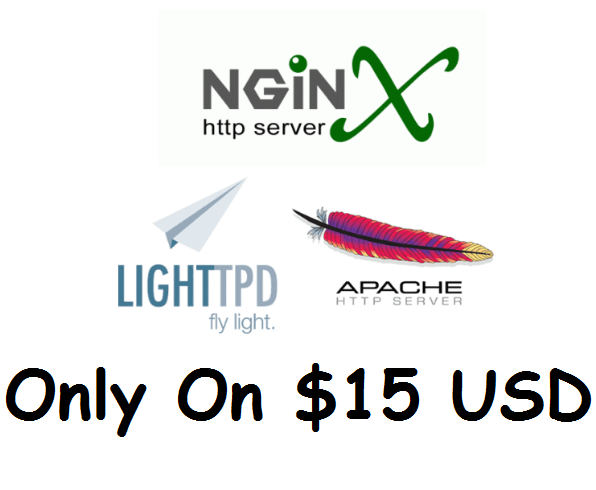 i will Setup Nginx, Apache, Lighttpd Webserver In Your Vps Server At Low Prize