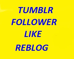 120 Tumblr followers or likes or reblogs in cheap rate