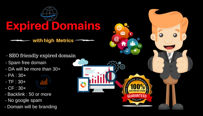 SEO Friendly Expired Domain With High Metrics