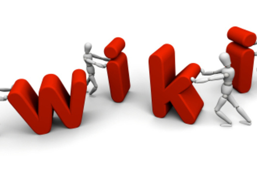 give 1,00,000 wiki links on your website with high PR