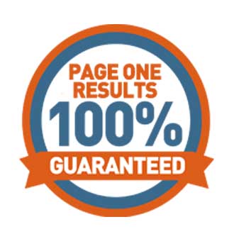 Make Your Website in #1 Google in max 3 mo