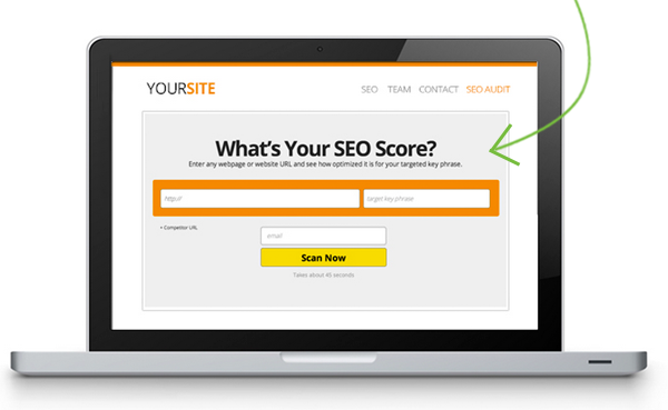 problems with your website, buy this full SEO website audit