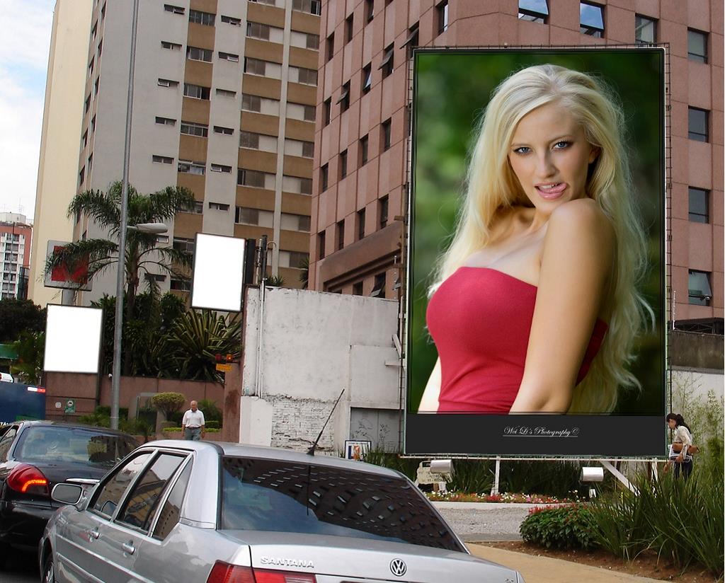 put photo or logo on 50 BILLBOARDS city posters 