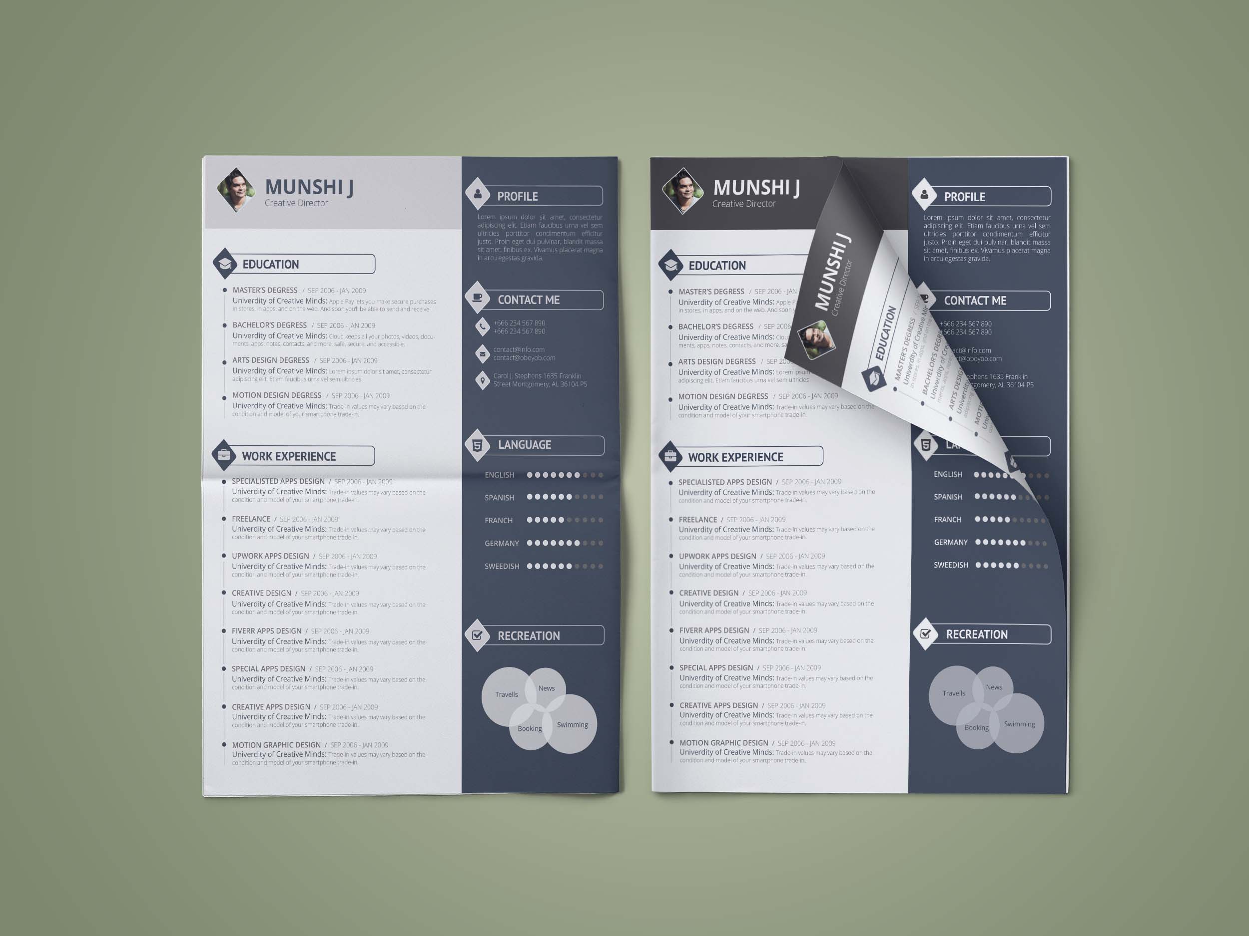 Resume,  Info-graphic cv design