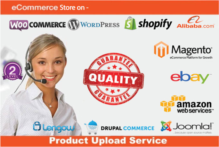 Amazon Product Listing SEO Title, Search Term, Html Descriptions