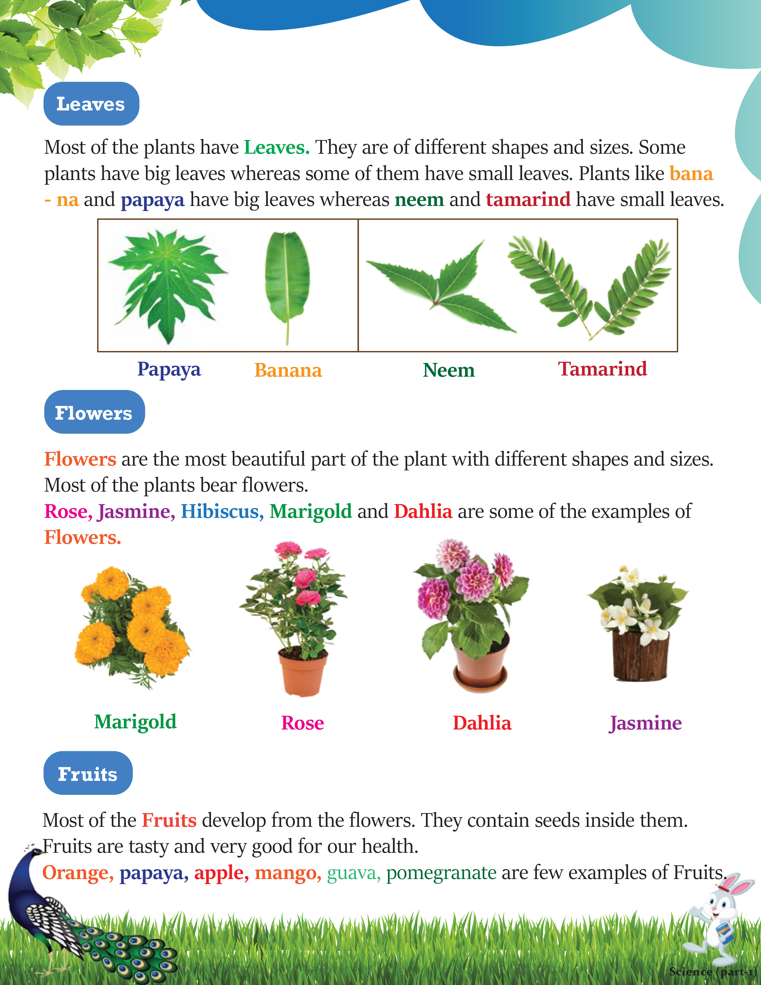 Create any type of Book, eBook, Kindle, Paperback, Children Book & iBook for you in just 2 days